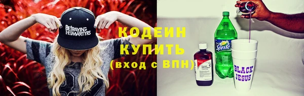 гидра Грязи