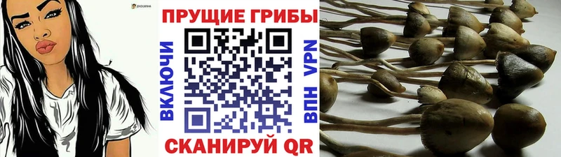 Галлюциногенные грибы MAGIC MUSHROOMS Выкса