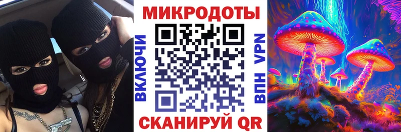 Псилоцибиновые грибы Psilocybe  Выкса 