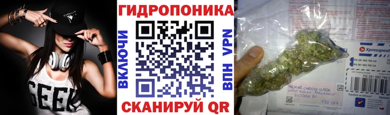 Конопля индика  Выкса 